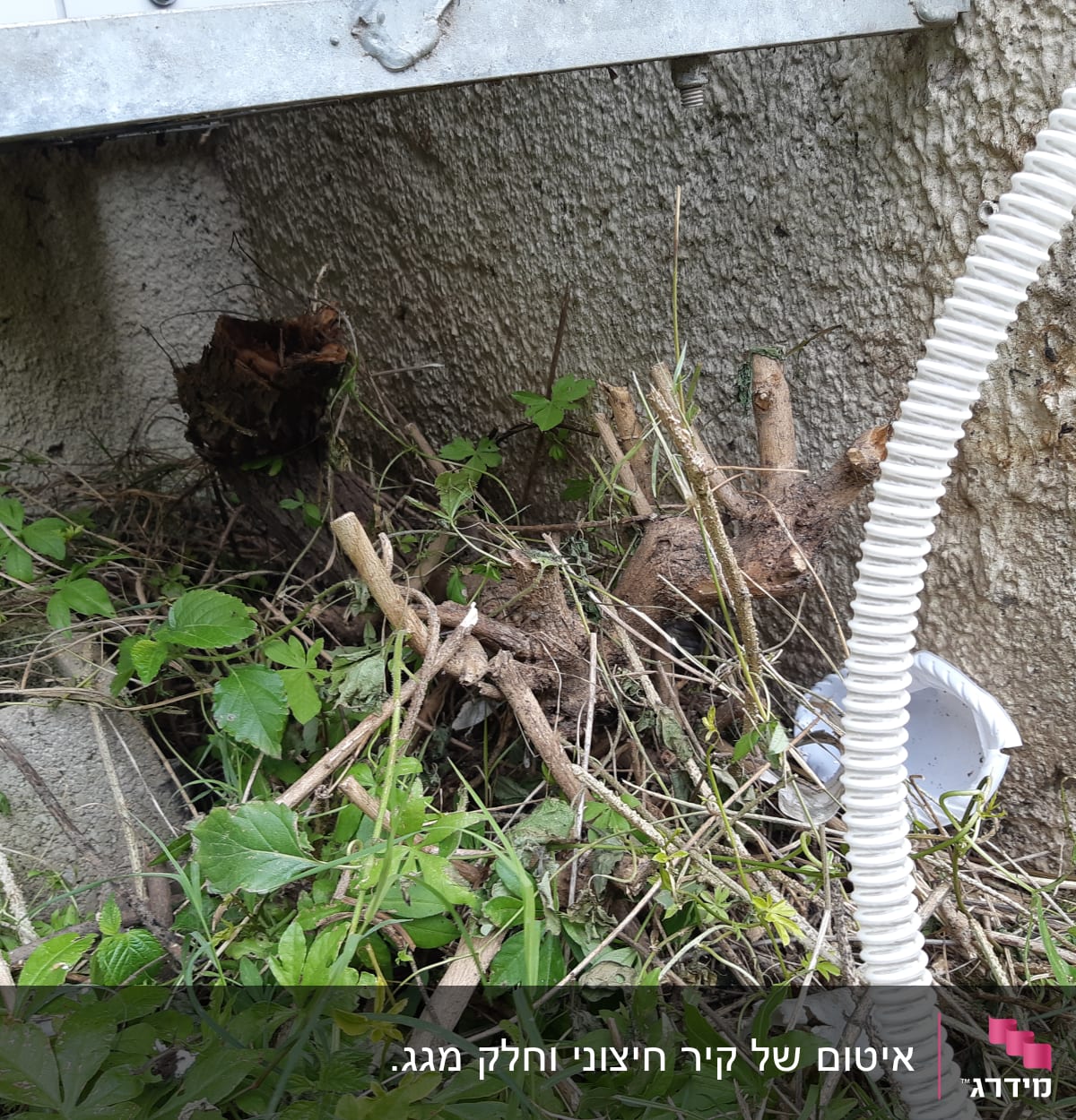 צינור לבן גמיש ליד קיר בטון עם צמחייה